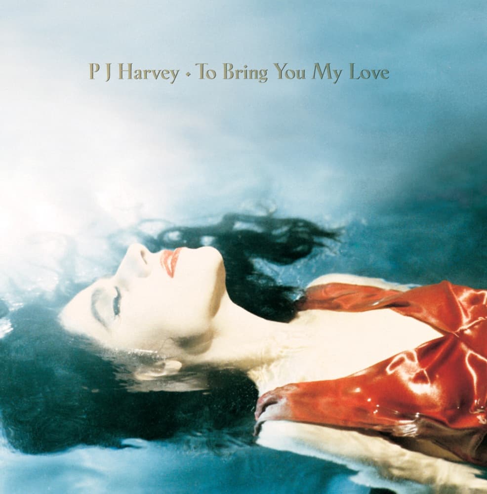 Down by the Water by PJ Harvey artwork