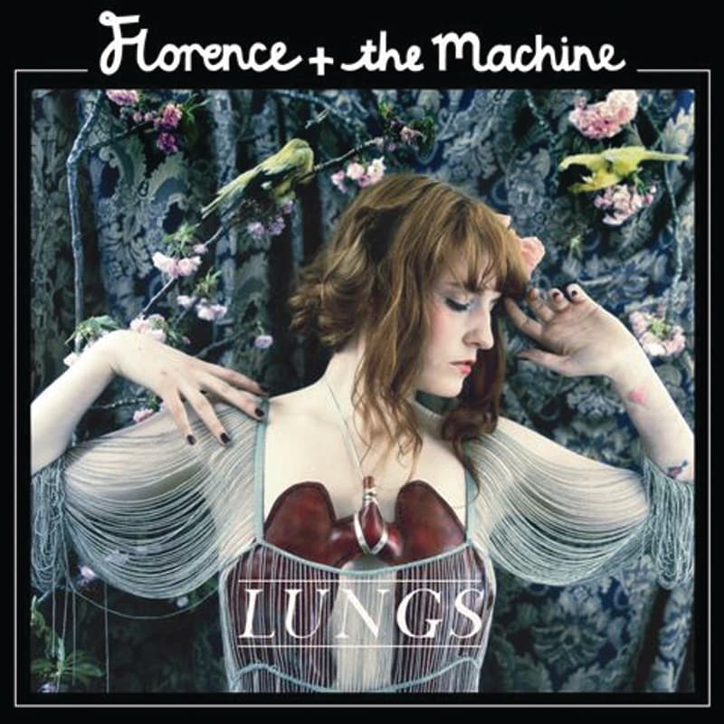 Dog Days Are Over by Florence + the Machine artwork