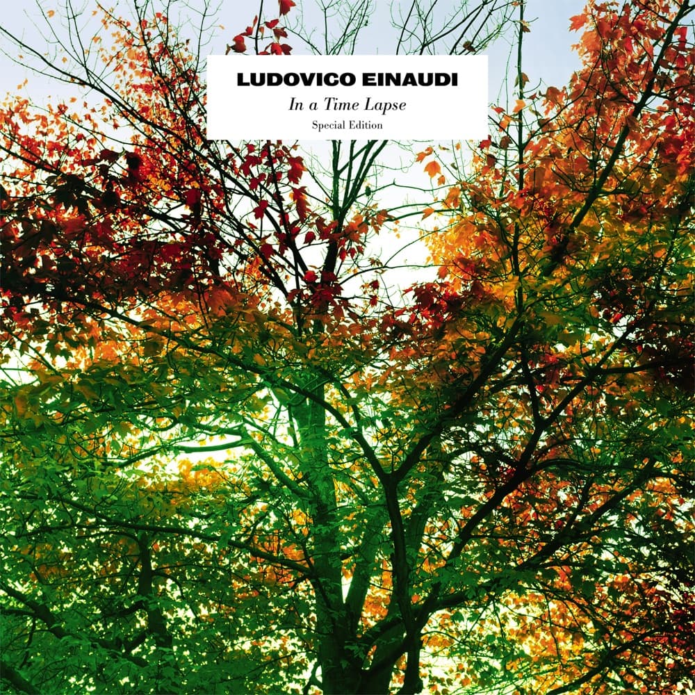 Experience by Ludovico Einaudi artwork