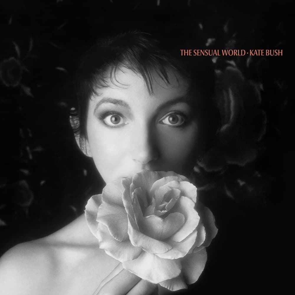This Woman's Work by Kate Bush artwork