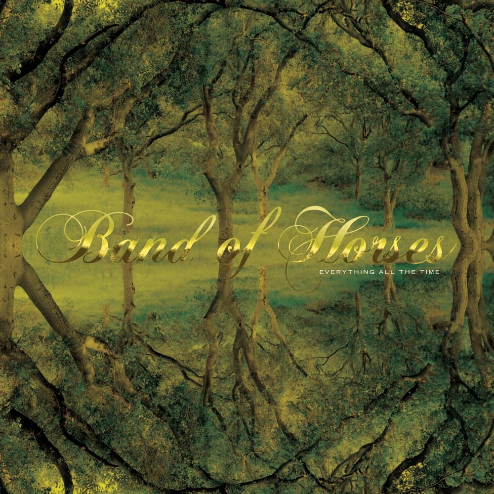 The Funeral by Band of Horses artwork